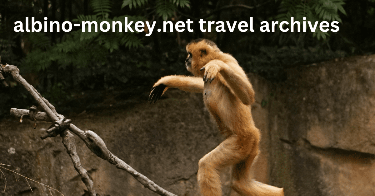 albino-monkey.net travel archives

