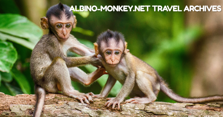 albino-monkey.net travel archives